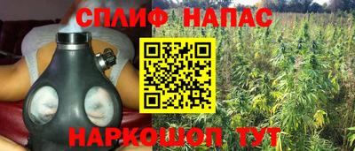 СК Пыть-Ях