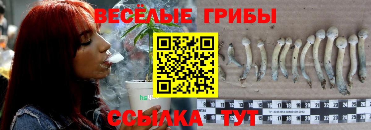 Псилоцибиновые грибы Cubensis Симферополь